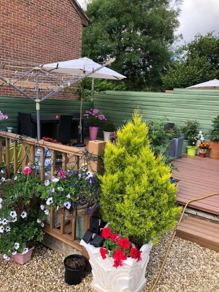 Rose Cottage Ryde  Εξωτερικό φωτογραφία